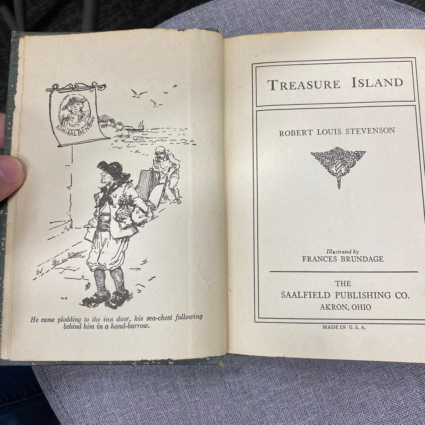 Treasure Island Illustrated Edition by Robert Lewis Stevenson Good Used Condition
