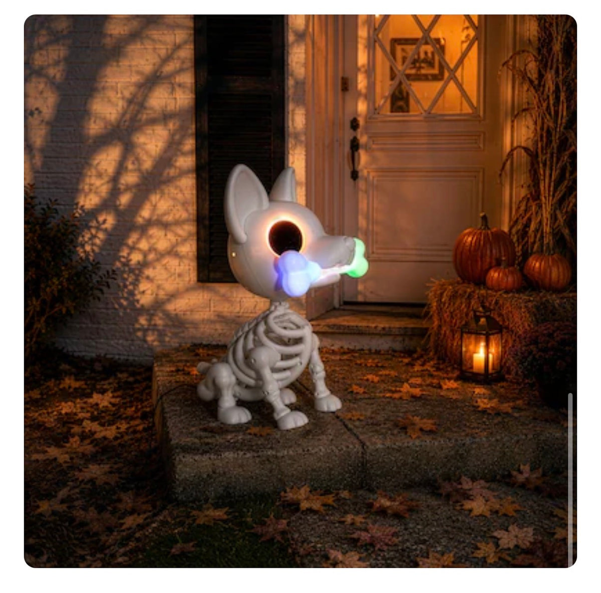 Haunted Living 2 Ft. Motion Activated Lighted Skeleton Party Dog Musical Halloween Animatronic (New in Box)