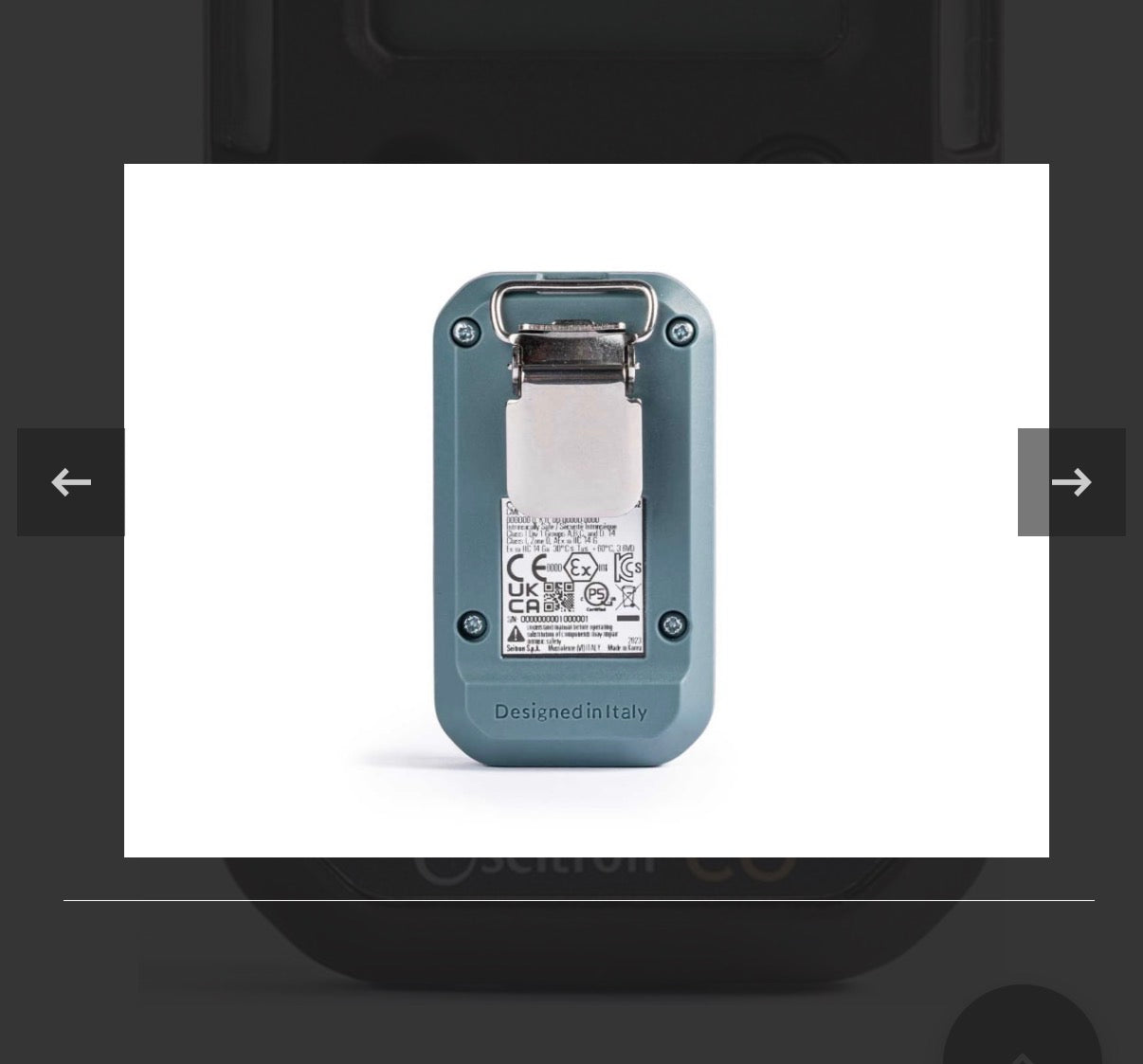 Seitron be Safe SG CO Single Gas Personal Gas Detector, CO Sensor, 0-300 ppm