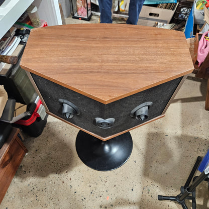 VINTAGE BOSE 901 SERIES V SPEAKERS With Tulip Base