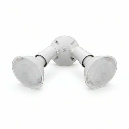 Lithonia Lighting Outdoor Flood Light