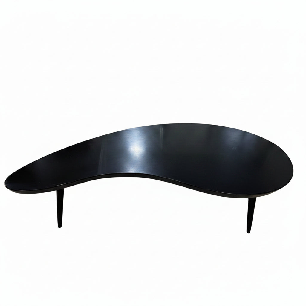 Vintage Atomic Modern kidney-shaped coffee table