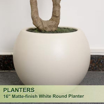 7 ft. Artificial Olive Tree Indoor/Outdoor, Faux Olive Plant in Round White Planter