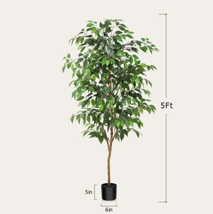 (New) 5FT Artificial Ficus Tree