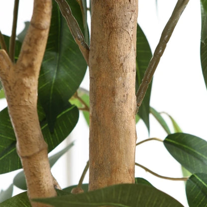 (New) 5FT Artificial Ficus Tree