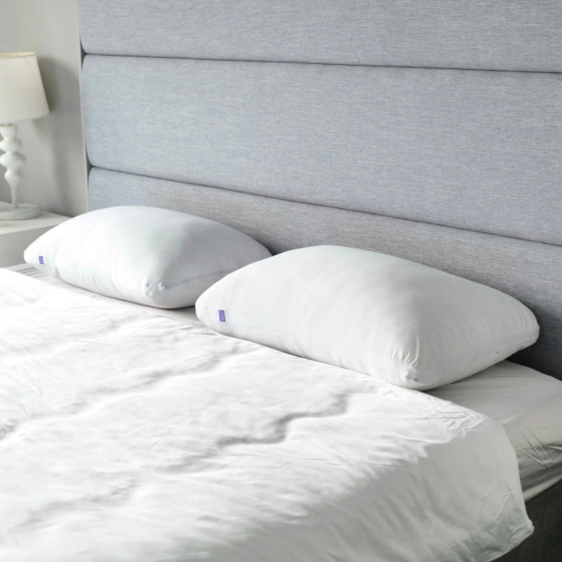 (New) Cushion Lab Cloud Loft Pillow