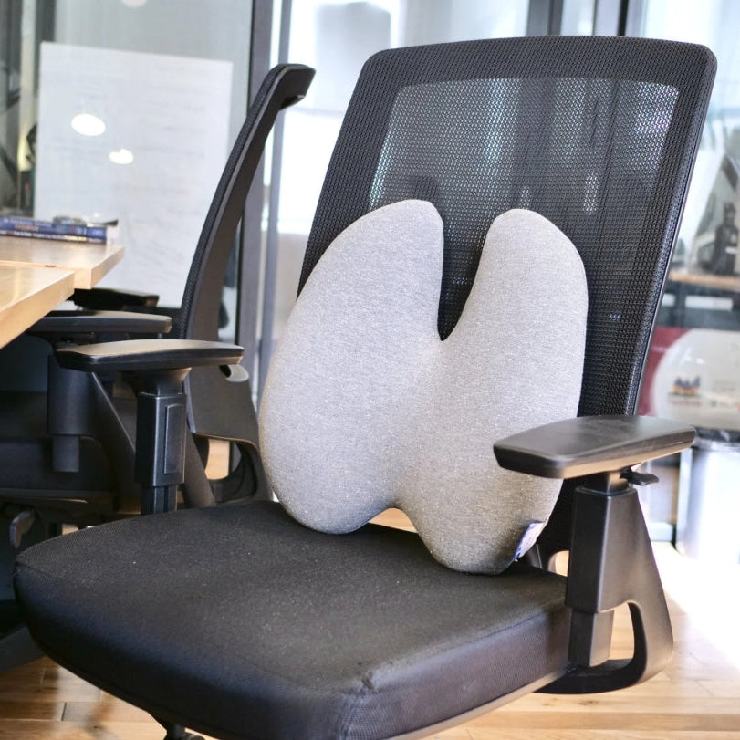 Cushion Lab Back Relief Lumbar Pillow - Grey