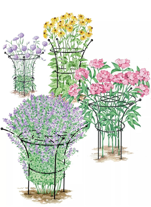 Essex Plant Supports Set of Two (Small)