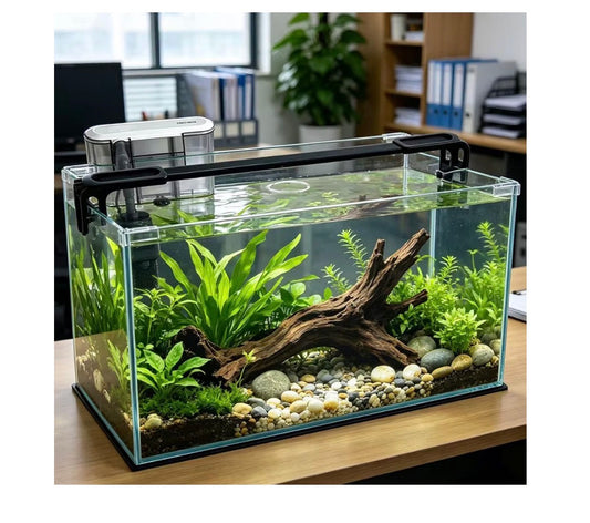 Vimvins 10 Gallon Glass Fish Tank, Easy  to Maintain Small Aquarium for Betta/Shrimp and Aquatic Planting (New in Box)