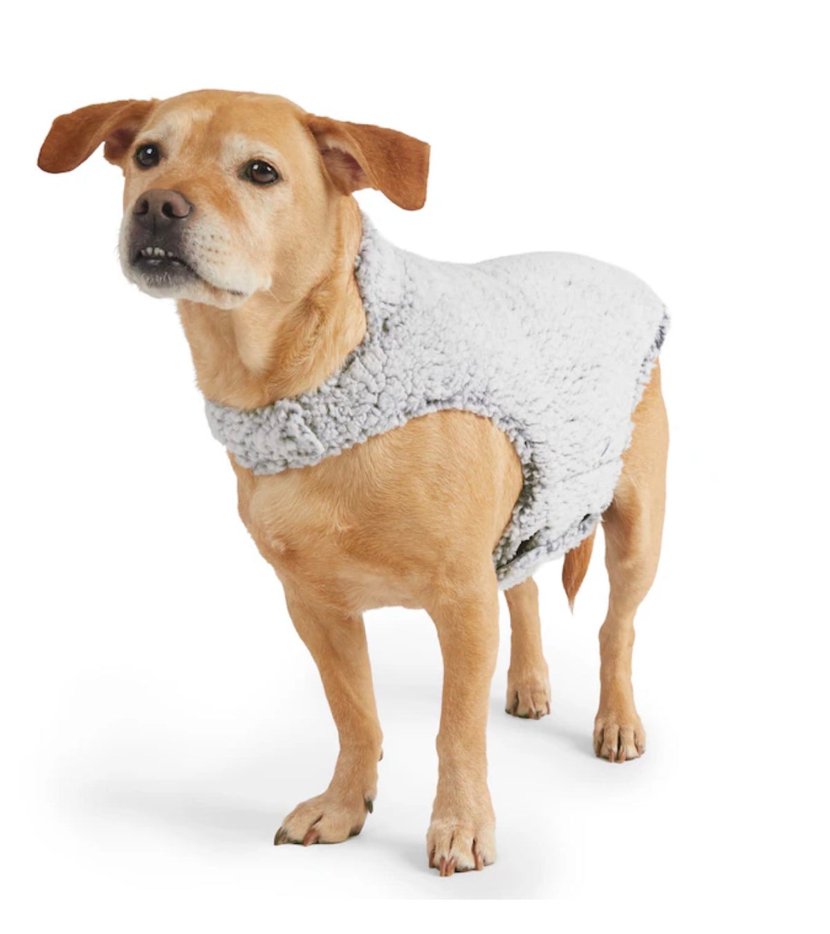 Free Country Green Vine Dog Pet Jacket L (New)