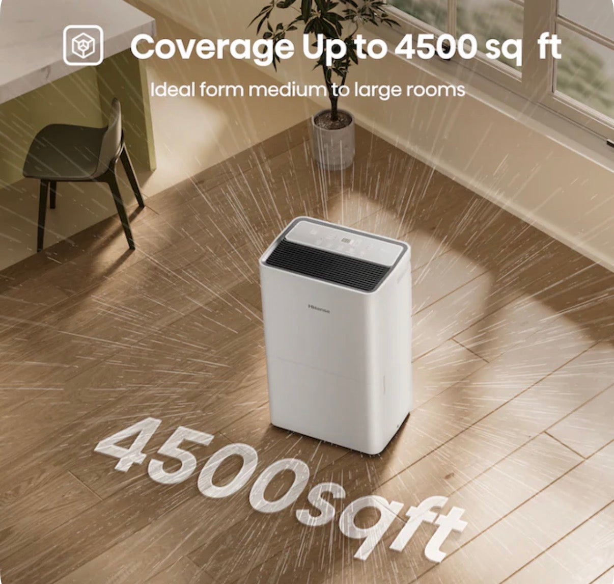 Hisense 50 pt Dehumidifier (new in box)
