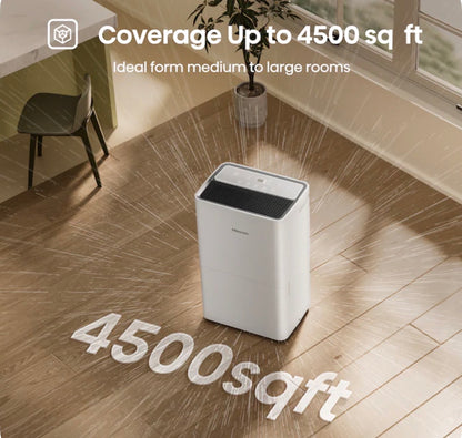 Hisense 50 pt Dehumidifier (new in box)