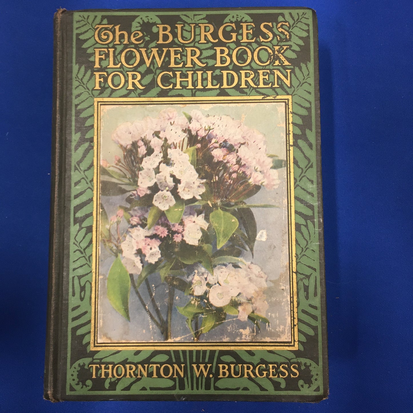 The Burgess Flower Book for Children [First Edition]