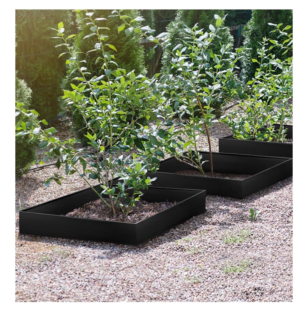 LAVEVE Landscape Edging Galvanized Steel Black Hammer-in Metal Garden Edging Border with Clips, Suitable for Garden Fence, Paver Edging, Lawn and Yard (New in Box)