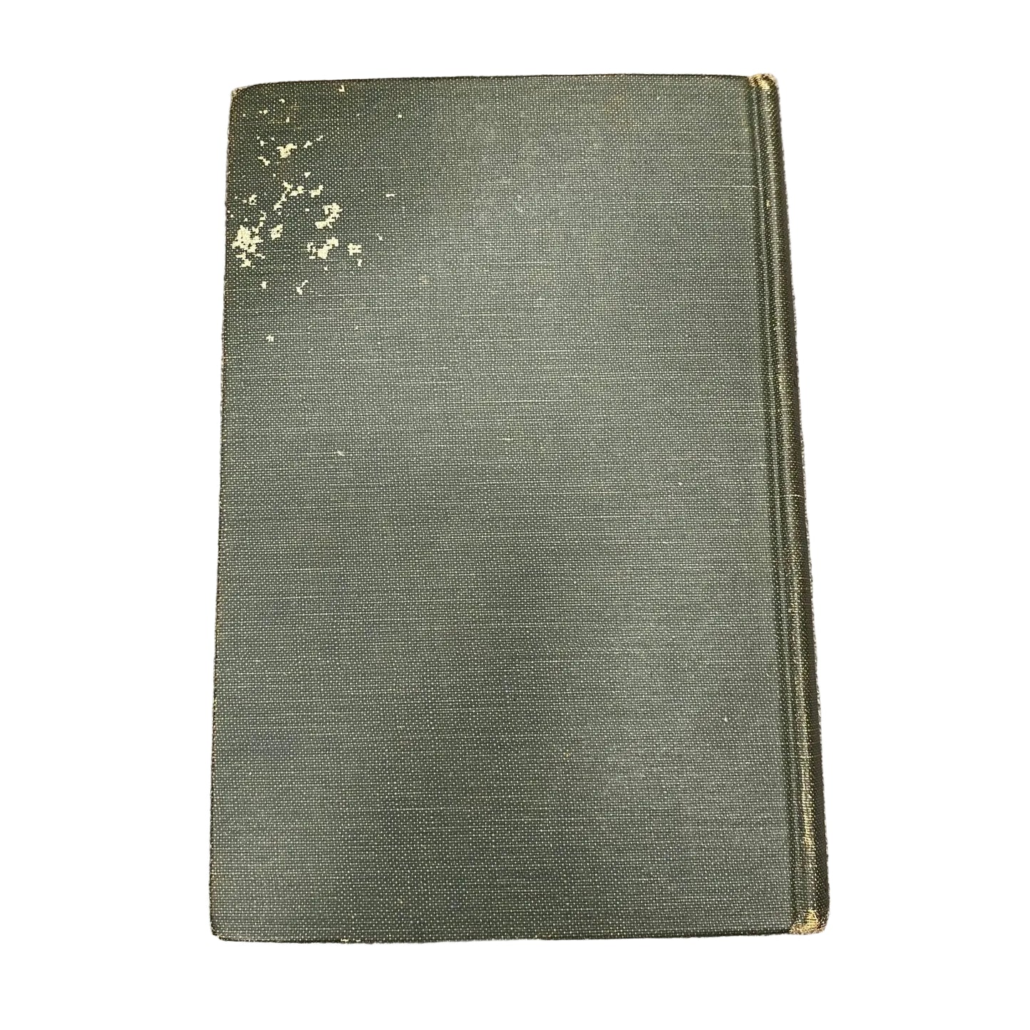 Treasure Island Illustrated Edition by Robert Lewis Stevenson Good Used Condition