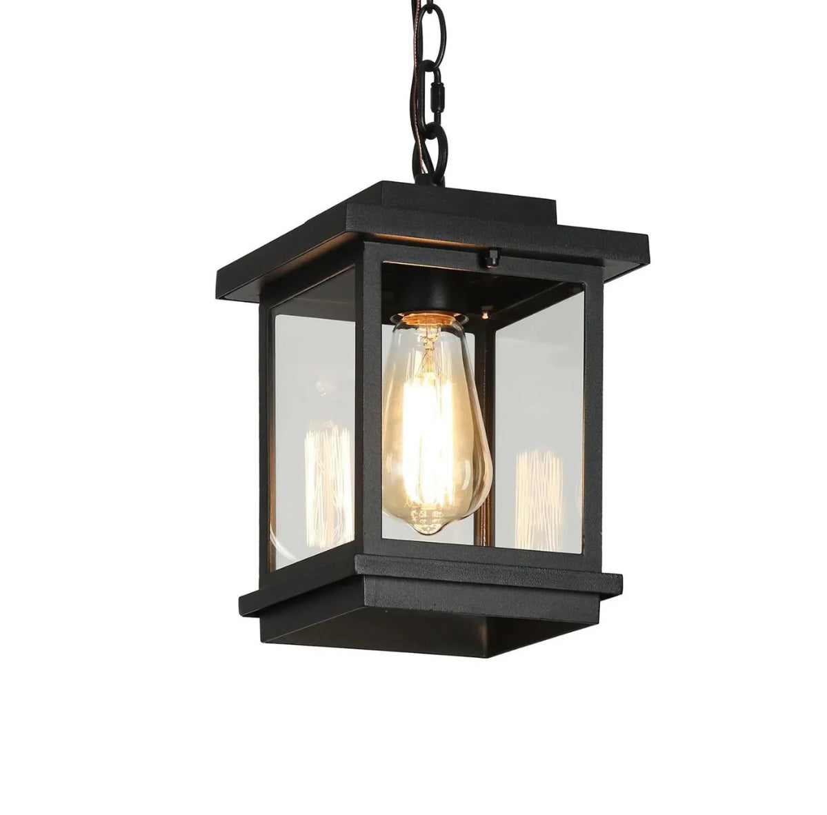 Melusio 1-Light Black Outdoor Pendant Light
