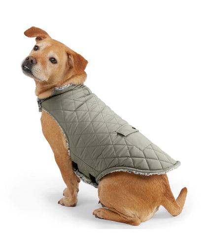 Free Country Green Vine Dog Pet Jacket L (New)