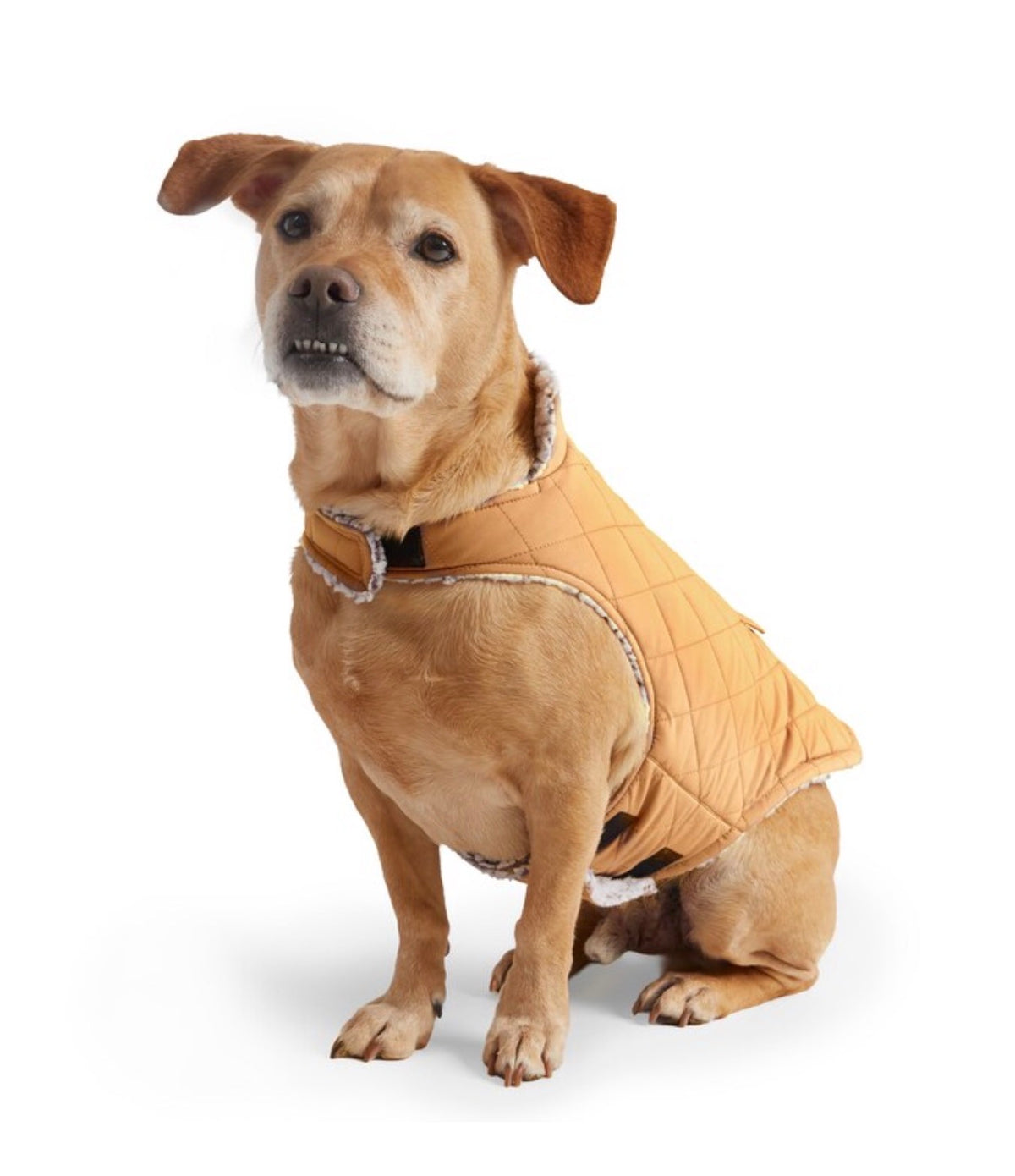 Free Country Brown Carmel Dog/Cat Pet Jacket XS (New)
