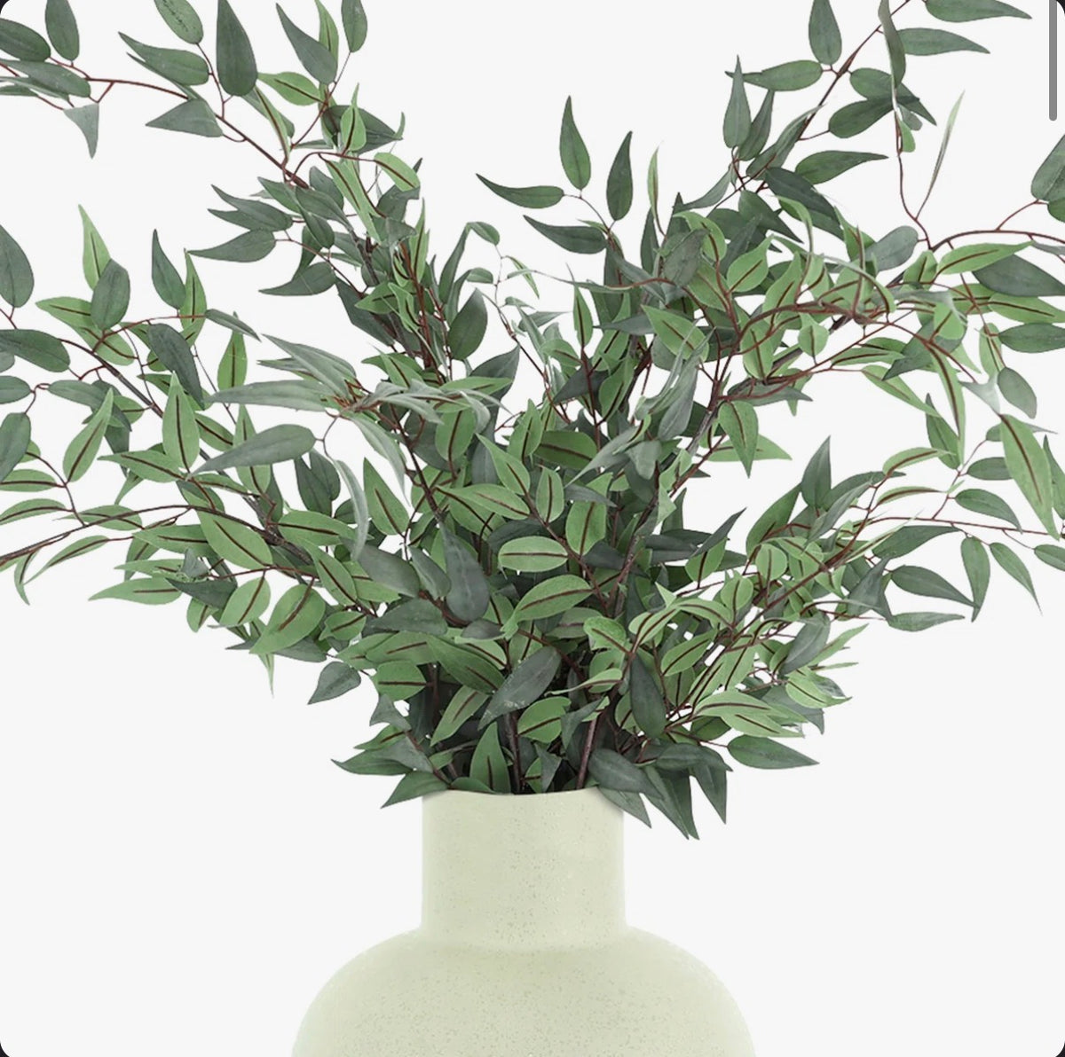 33 Inch Faux Ruscus Plant in Ceramic Decorative Vase (New in Box)