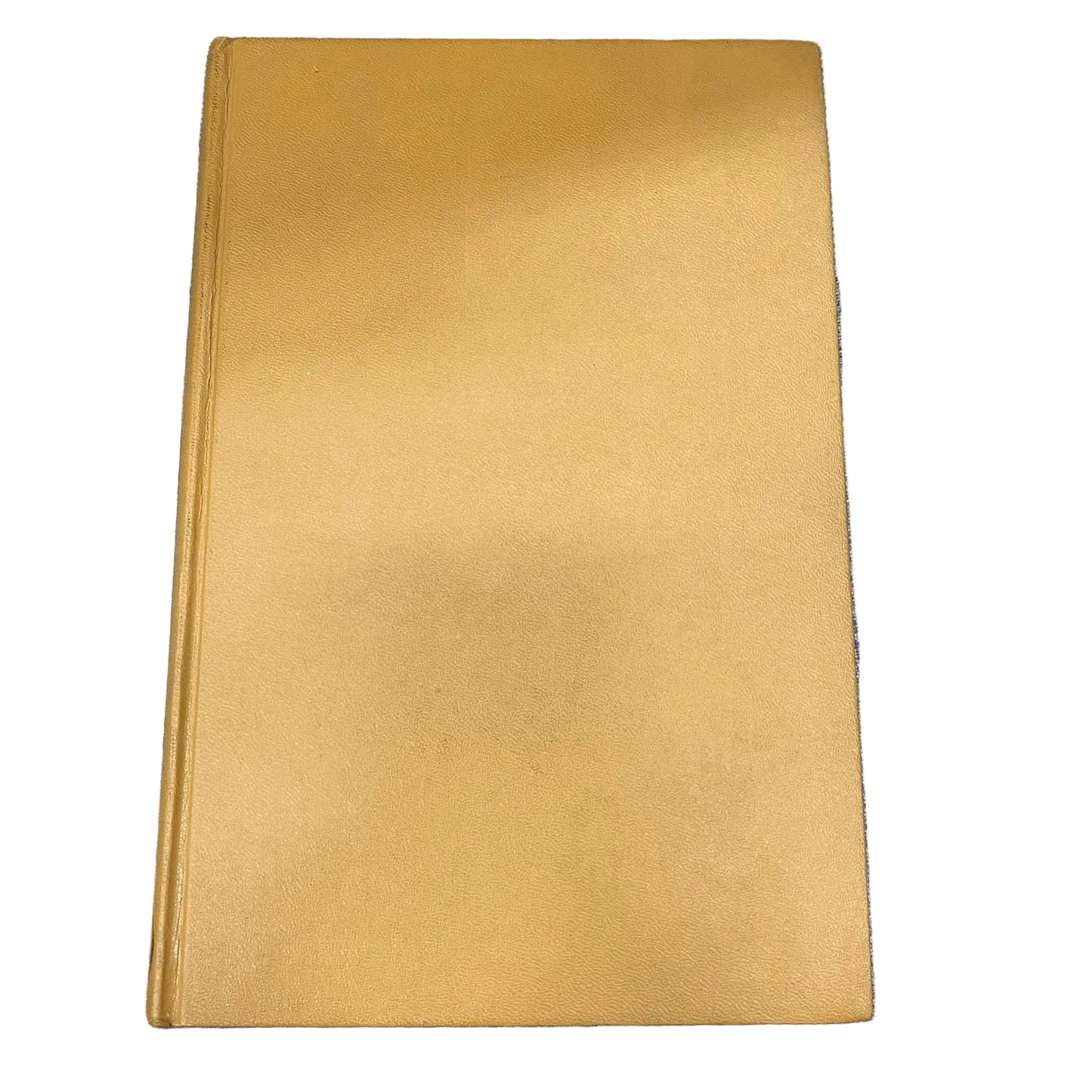 The Busy Body by Donald E. Westlake Good Used Condition