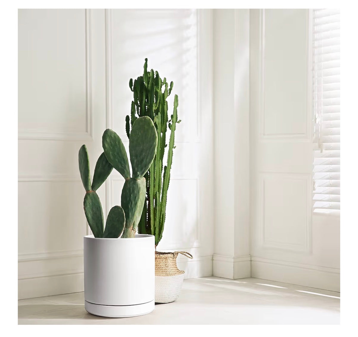 D'Vine Dev 12 Inch Ceramic Planter Pot Modern Cylinder Design, Drainage Hole & Saucer Included, Stable Structure, Elegant Home Accent (White) (New in Box)
