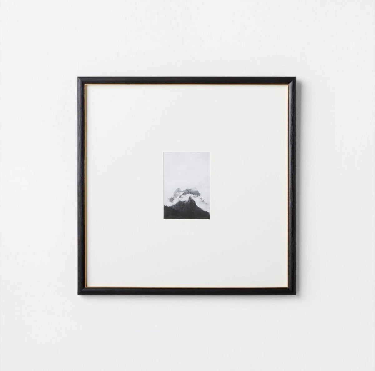 20 Inch X 20 Inch Matted to 5 Inch X 7 Inch Gallery Wall Frame (Black/Brass)