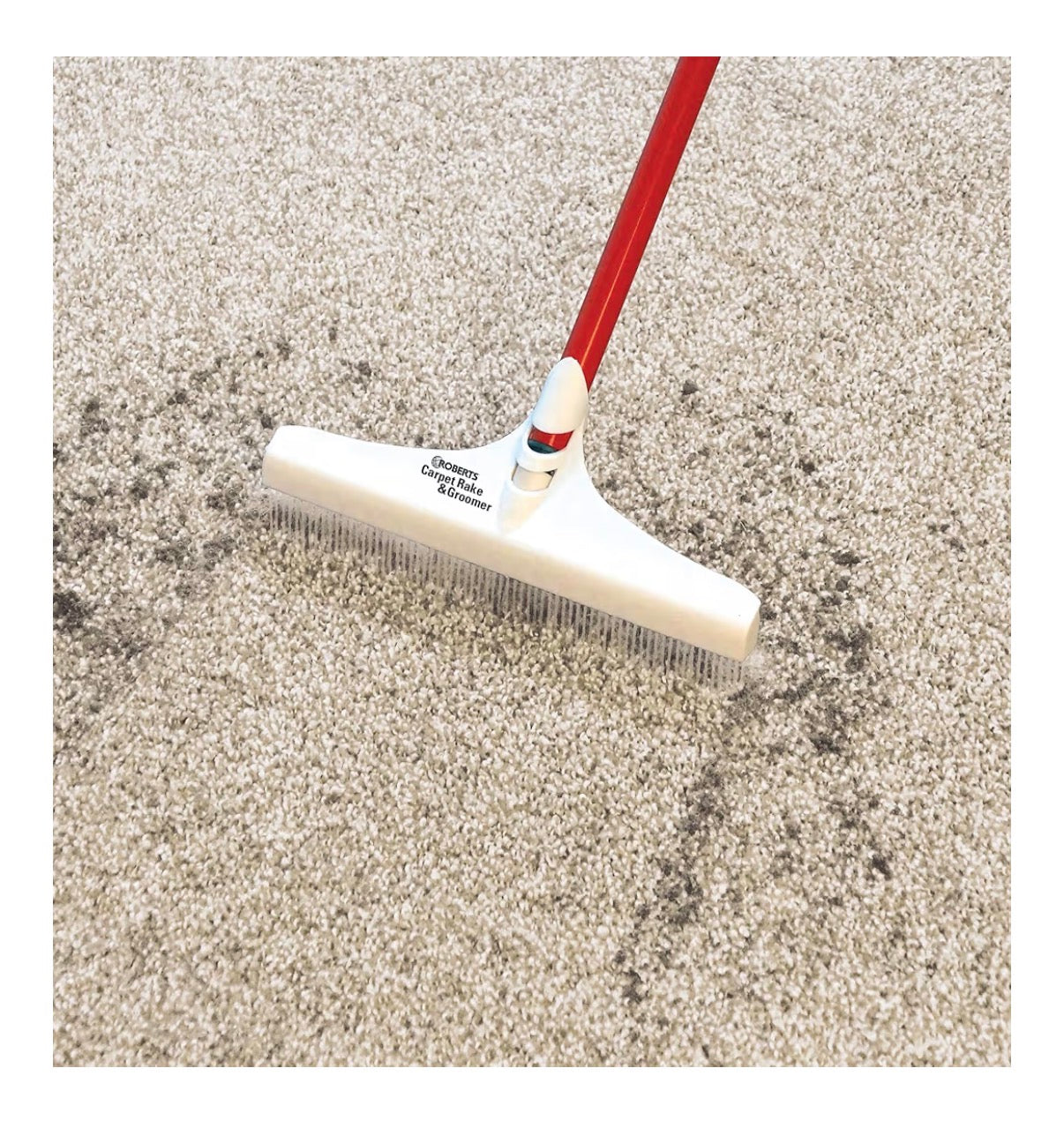 Carpet Rake and Groomer