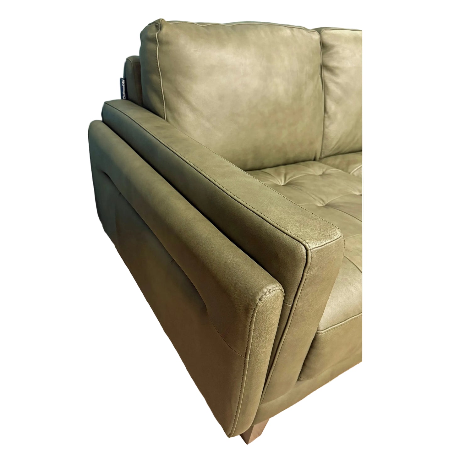 Chateau d'Ax Leather Stationary Sofa in Olive