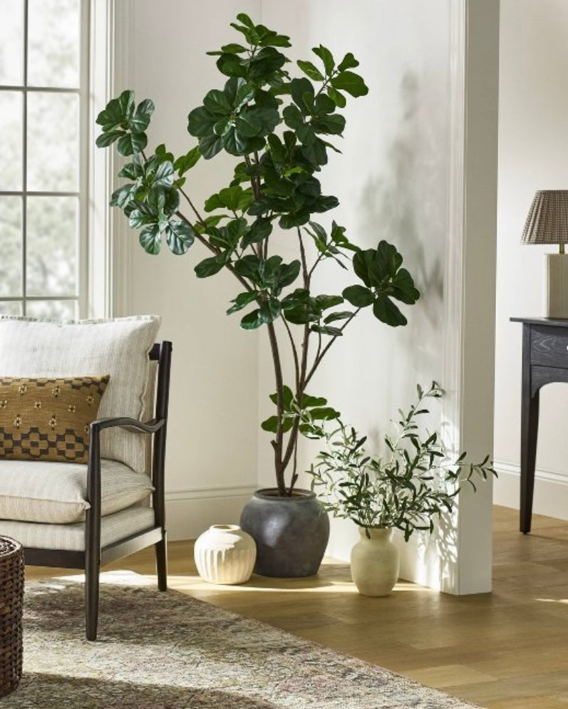 6 ft Artificial Leaf Fig Tree Dark Green - Threshold™ designed with Studio McGee