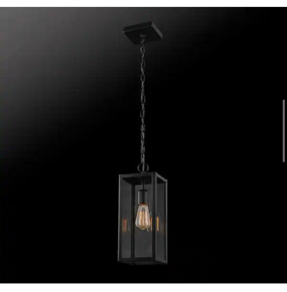 Hurley 78.5 Inch 1 Light Modern Matte Black Outdoor Hanging Light Pendant Light with Clear Glass Shade (New in Box)
