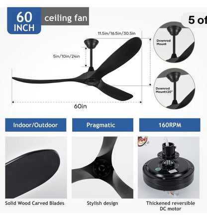 60" Outdoor Ceiling Fan with Smart Control