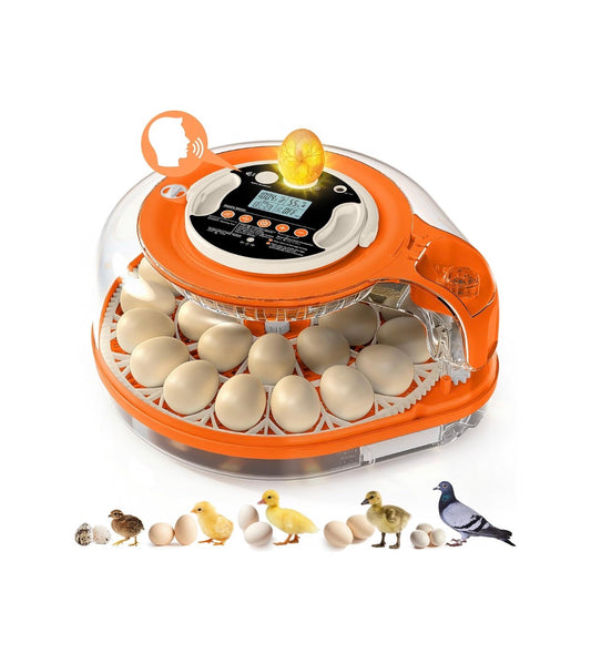 26 Incubators for Hatching Eggs Smart Voice Control Incubator with Auto Temp Humidity Automatic Egg Turning 360 Degrees View Built In Egg Candler and Chick Holding Area for Chickens, Ducks, Goose, and Quail Eggs (Orange/White) (New in Box)