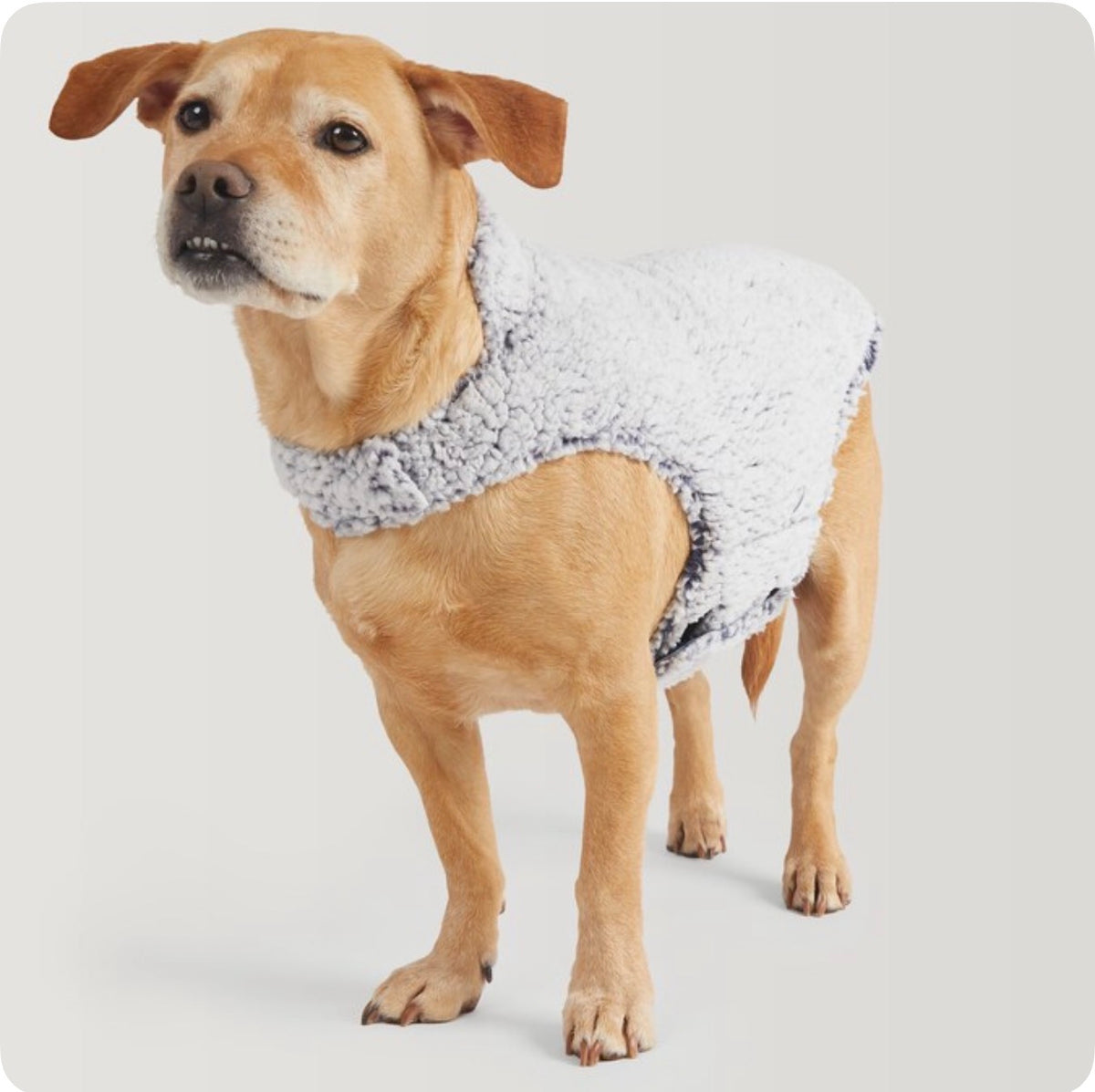 Free Country Blue Stonewash Dog/Cat Pet Jacket L (New)