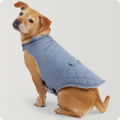 Free Country Blue Stonewash Dog/Cat Pet Jacket L (New)