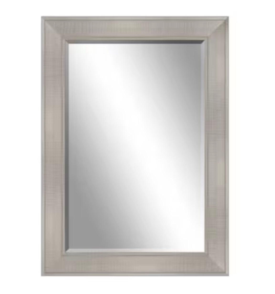 allen + roth 3"W x 43"H Rectangle Silver Framed Wall Mirror