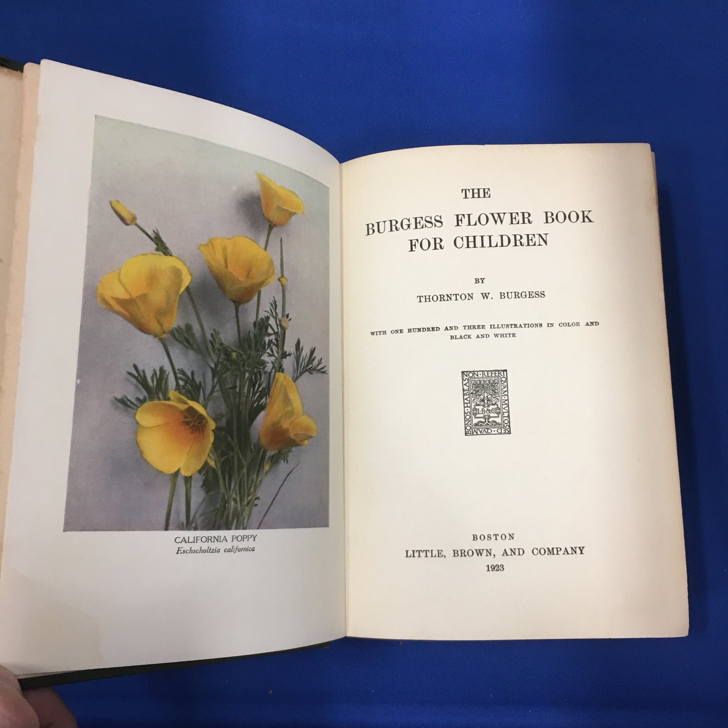 The Burgess Flower Book for Children [First Edition]