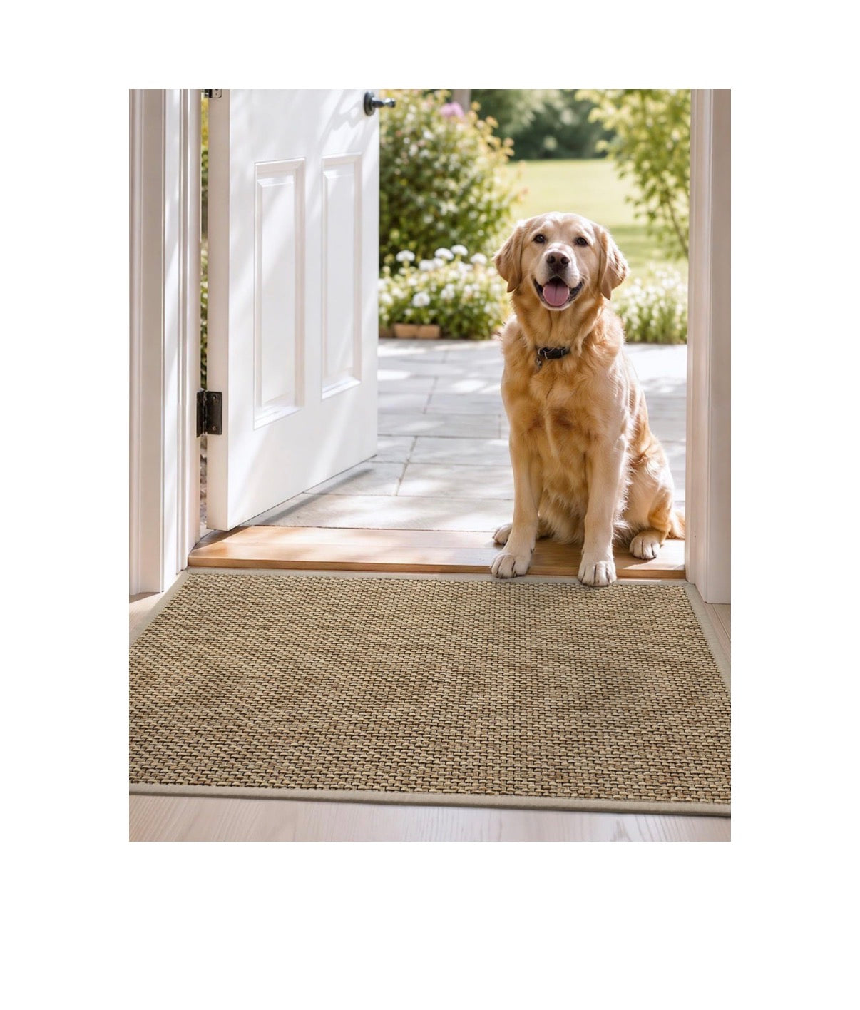 DEXI Ultra-Thin Entryway Indoor Mat 24 Inch X 36 Inch, Non-Slip Rubber Backing Inside Entry Mat, Low Profile Easy Clean Dirt Trapper Doormat for Inside Entrance Patio (Beige) (New in Package)