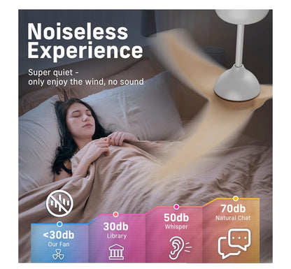 Ceiling Fan with Lights, 42 Inch Low Profile Ceiling Fan with Light and Remote Control, Flush Mount, 3CCT, Dimmable, quiet Reversible Motor, Modern Ceiling Fan for Bedroom Indoor/Outdoor Use (Wood) (New in Box)