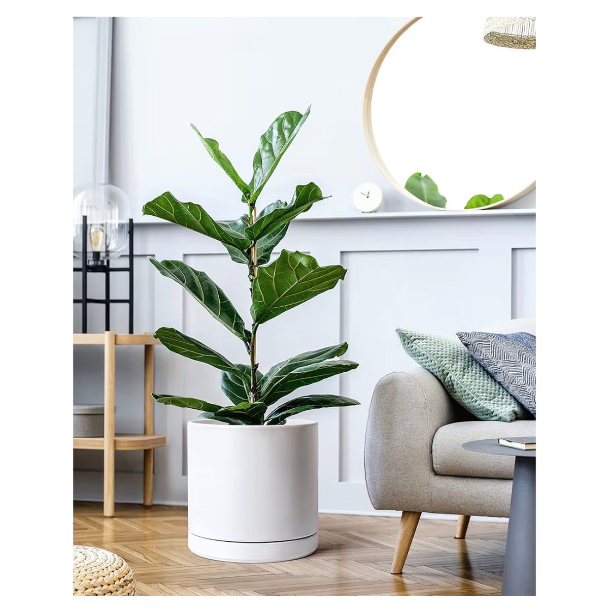 D'Vine Dev 12 Inch Ceramic Planter Pot Modern Cylinder Design, Drainage Hole & Saucer Included, Stable Structure, Elegant Home Accent (White) (New in Box)