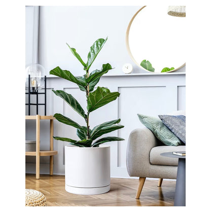 D'Vine Dev 12 Inch Ceramic Planter Pot Modern Cylinder Design, Drainage Hole & Saucer Included, Stable Structure, Elegant Home Accent (White) (New in Box)